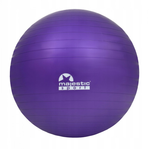 Купить Фитбол  Majestic Sport 65 cm Anti-Burst GVP5028/V в Киеве - фото №1
